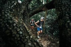 BIB: 
                            <button type="button" onclick="openModal(25391962)" class="btn btn-primary btn-sm float-right btn-popup" data-toggle="modal" data-target=".modal-high-quality">
                        <i class="fas fa-shopping-cart"></i> Add to Cart
                    </button>
                                            <button type="button" onclick="isThisMe(25391962, true)" class="btn btn-success btn-sm float-right btn-popup btn-isme hidden" data-toggle="tooltip" data-placement="bottom" title="นี่คือรูปของคุณใช่ไหม คลิกที่นี่เพื่อเอาเข้าอัลบั้ม">
                        <i class="fas fa-plus"></i> Add to album
                    </button>
                    <button type="button" onclick="isThisMe(25391962, false)" class="btn btn-warning btn-sm float-right btn-popup btn-isnotme hidden">
                        <i class="fas fa-ban"></i> Remove from album
                    </button>